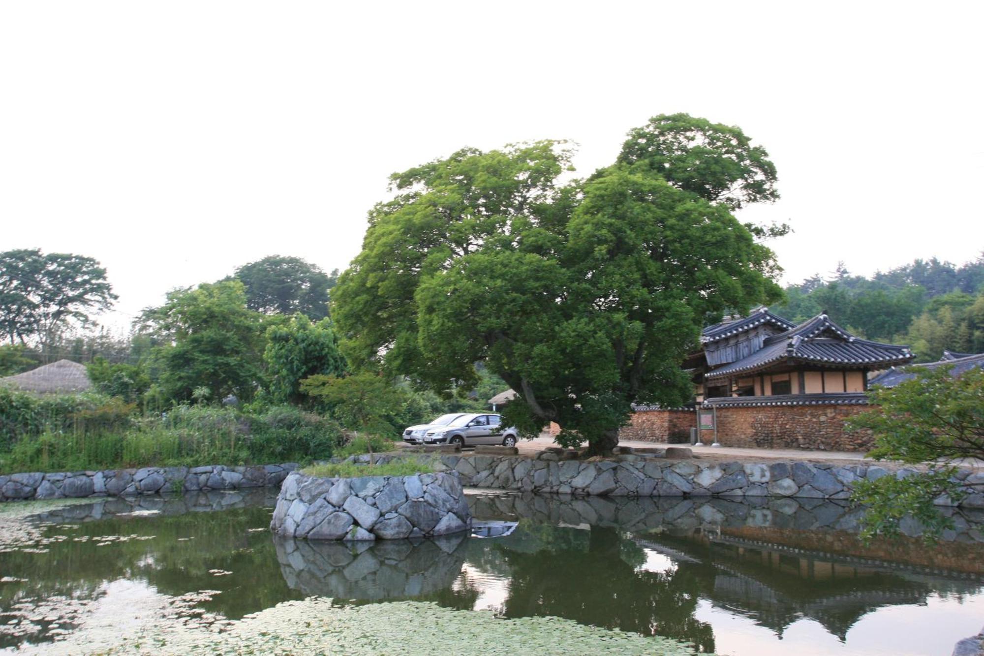 Jinrae Lee'S Traditional House Boseong ภายนอก รูปภาพ